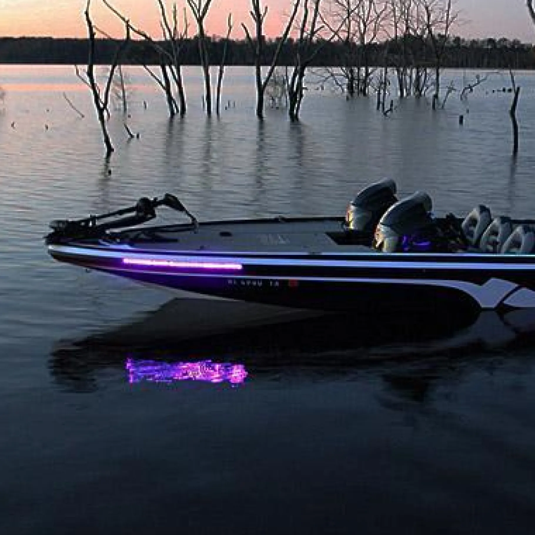 T-H Marine Led Lighting-BLUEWATERLED Low Impact UV Blacklight Individual