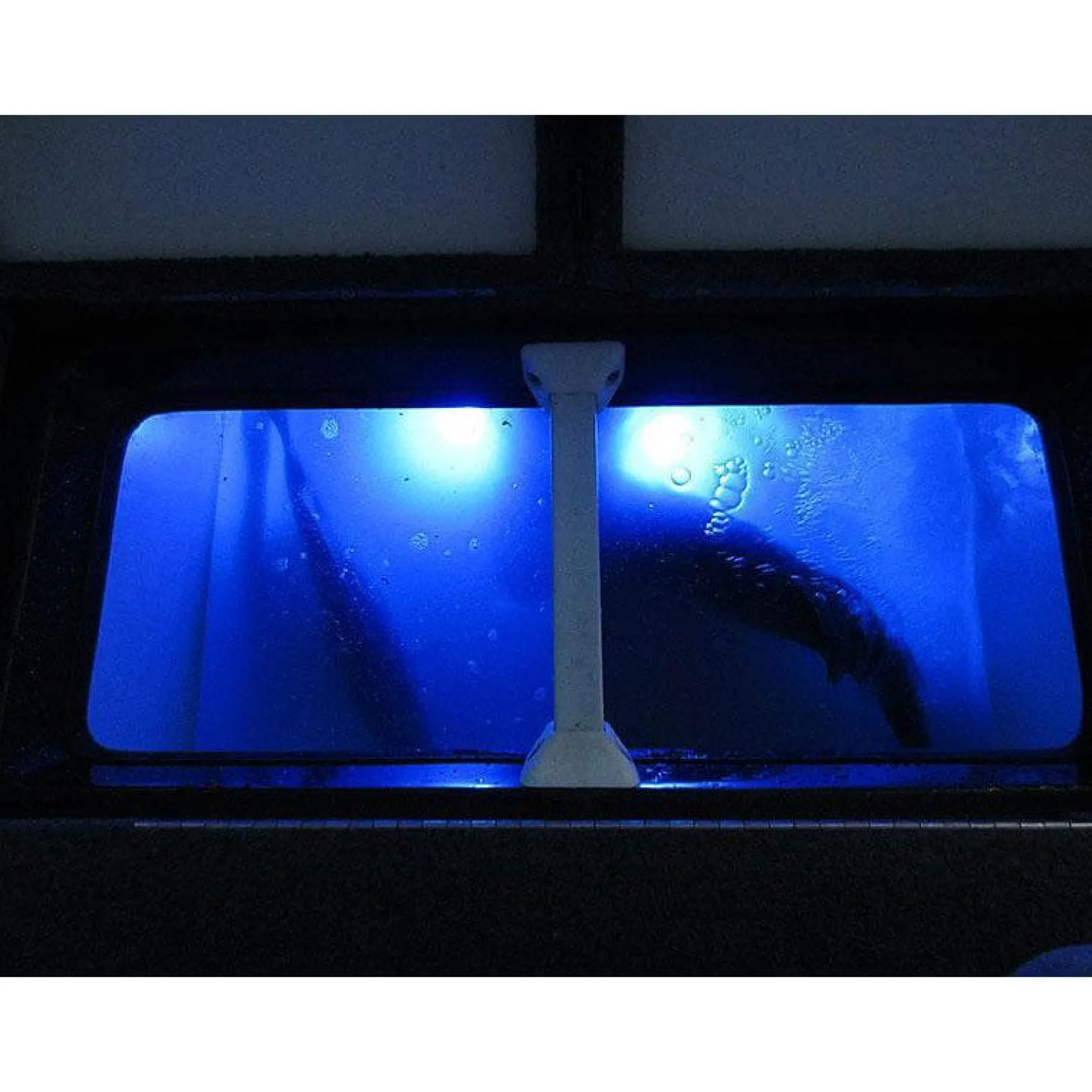 T-H Marine Led Lighting-BLUEWATERLED Quad Beam Livewell & Cooler Light Pair - Submersible