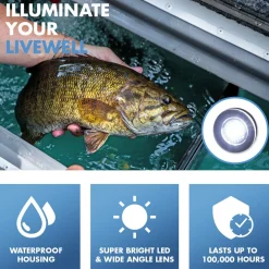T-H Marine Led Lighting|Plumbing & Drains-Flush Head LED Livewell Lights