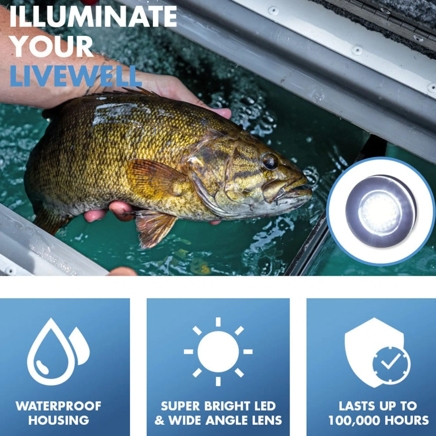 T-H Marine Led Lighting|Plumbing & Drains-Flush Head LED Livewell Lights